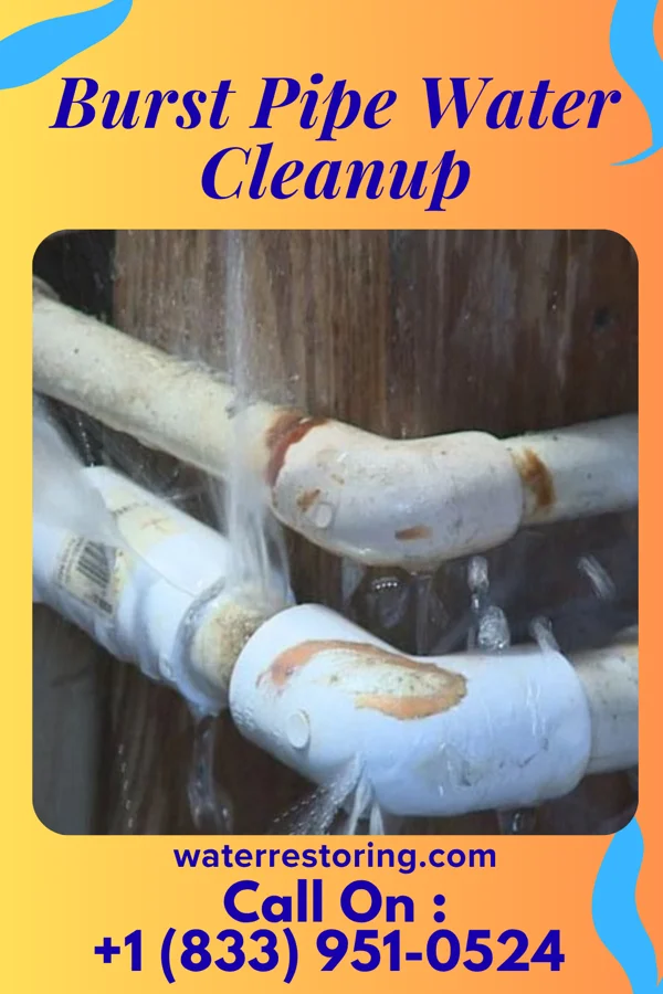 Burst Pipe Water Cleanup in Sawyerwood, OH