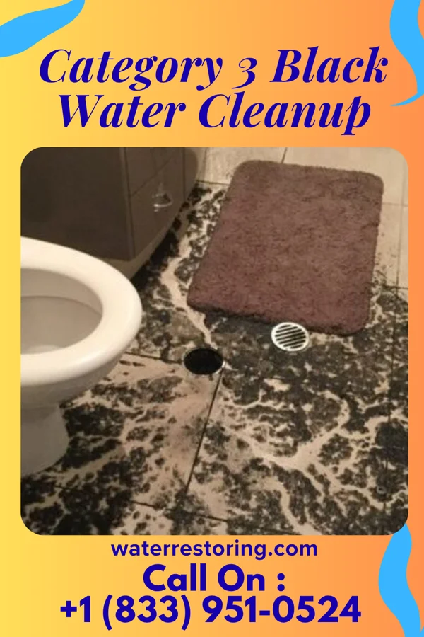 Category 3 Black Water Cleanup in Sawyerwood, OH