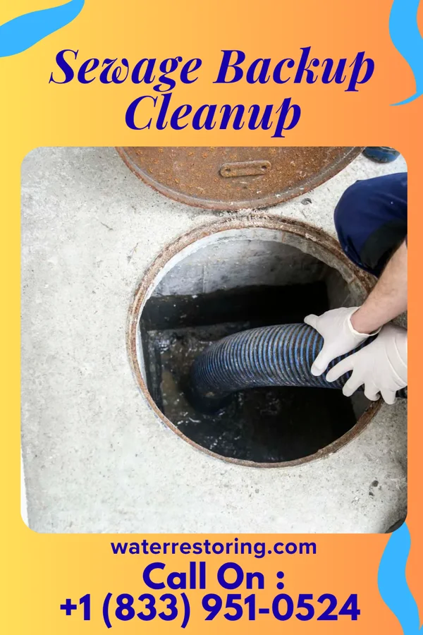 Sewage Backup Cleanup in Sawyerwood, OH