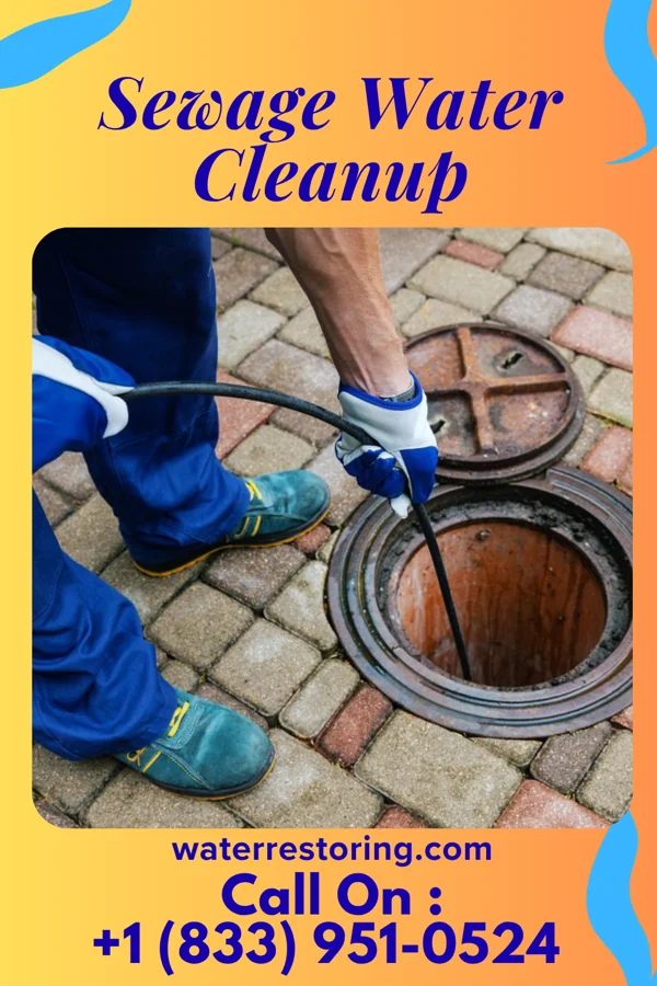 Sewage Water Cleanup in Sawyerwood, OH