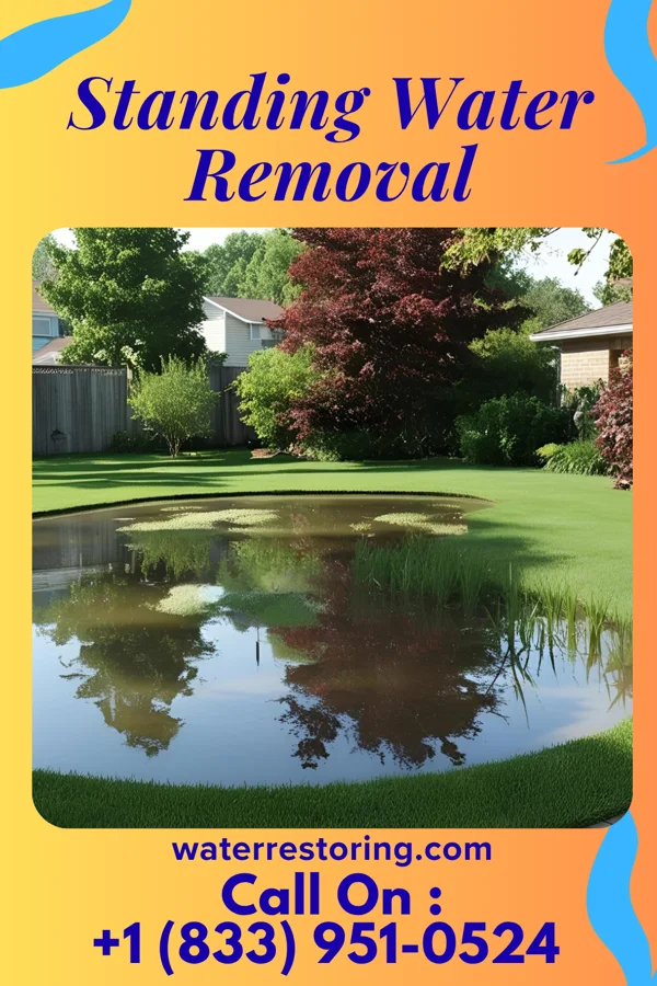Standing Water Removal in Sawyerwood, OH